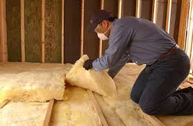 Best Insulation for Existing Homes  in Novato, CA